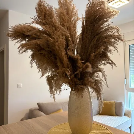 Masa Apartment Podgorica