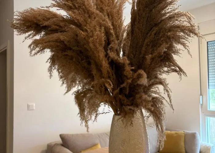 Masa Apartment Podgorica